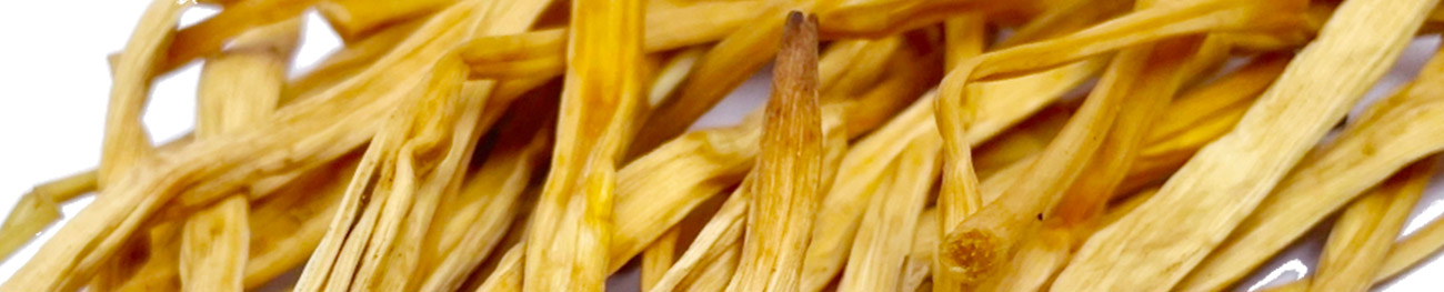 金針菜（キンシンサイ）の画像
