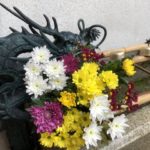 重陽の節句-菊花茶の通販-もりひさ屋